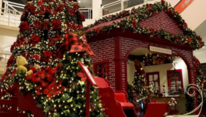DECORAÇÃO DE NATAL PALLADIUM TEM FONTE DOS DESEJOS, PASSEIO DE CARRINHO EM TORNO DA ÁRVORE E PRESENÇA DO PAPAI NOEL.